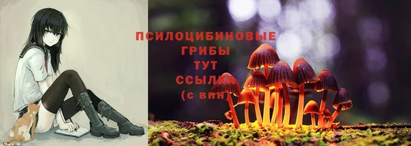 таблы Армянск